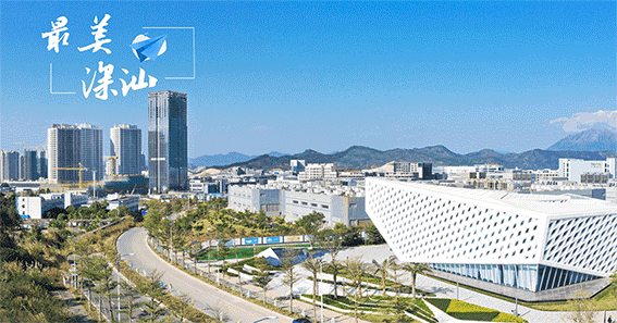 大年初三,深圳市委书记市长检查疫情防控:科学精准从严从紧打好打赢这场硬仗-第5张图片-四季读书网 大年初三,深圳市委书记市长检查疫情防控:科学精准从严从紧打好打赢这场硬仗-第5张图片-四季读书网