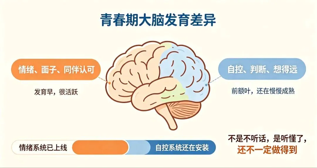 儿子初三总被女生打电话分心?别硬管-第1张图片-四季读书网