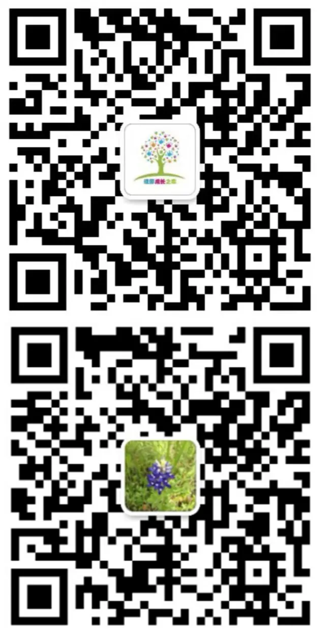 中考语法解析 | 从对比到运用,掌握三大if条件句-第10张图片-四季读书网 中考语法解析 | 从对比到运用,掌握三大if条件句-第10张图片-四季读书网