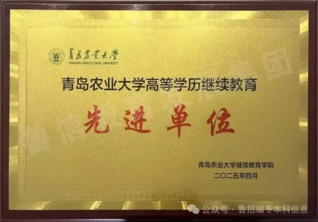 2027年山东成人高考院校专升本教育类法学类专业汇总表-第15张图片-四季读书网 2027年山东成人高考院校专升本教育类法学类专业汇总表-第15张图片-四季读书网