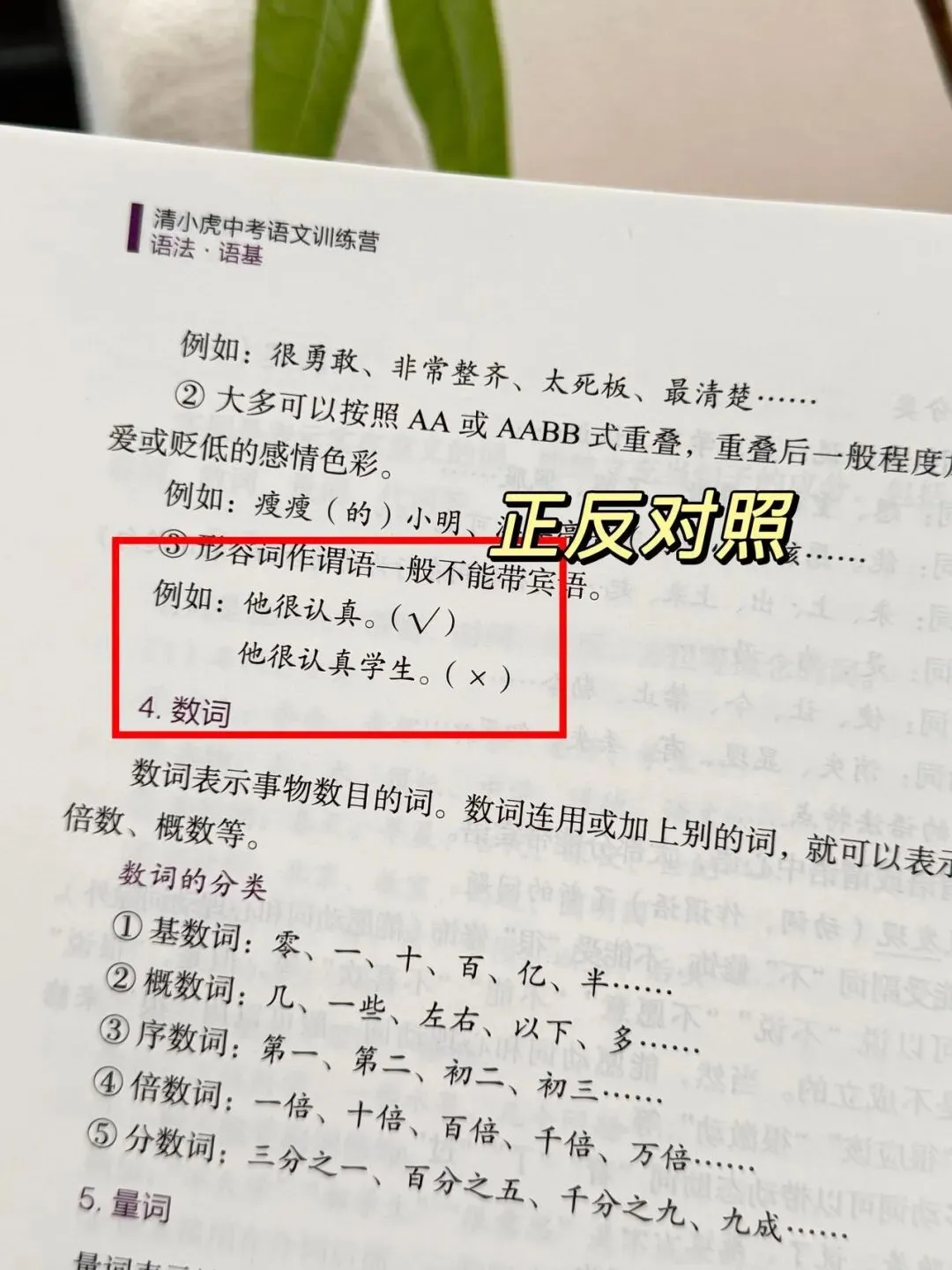 清小虎 中考语文训练营《语法·语基》掌握语法不愁语文学不好-第17张图片-四季读书网 清小虎 中考语文训练营《语法·语基》掌握语法不愁语文学不好-第17张图片-四季读书网