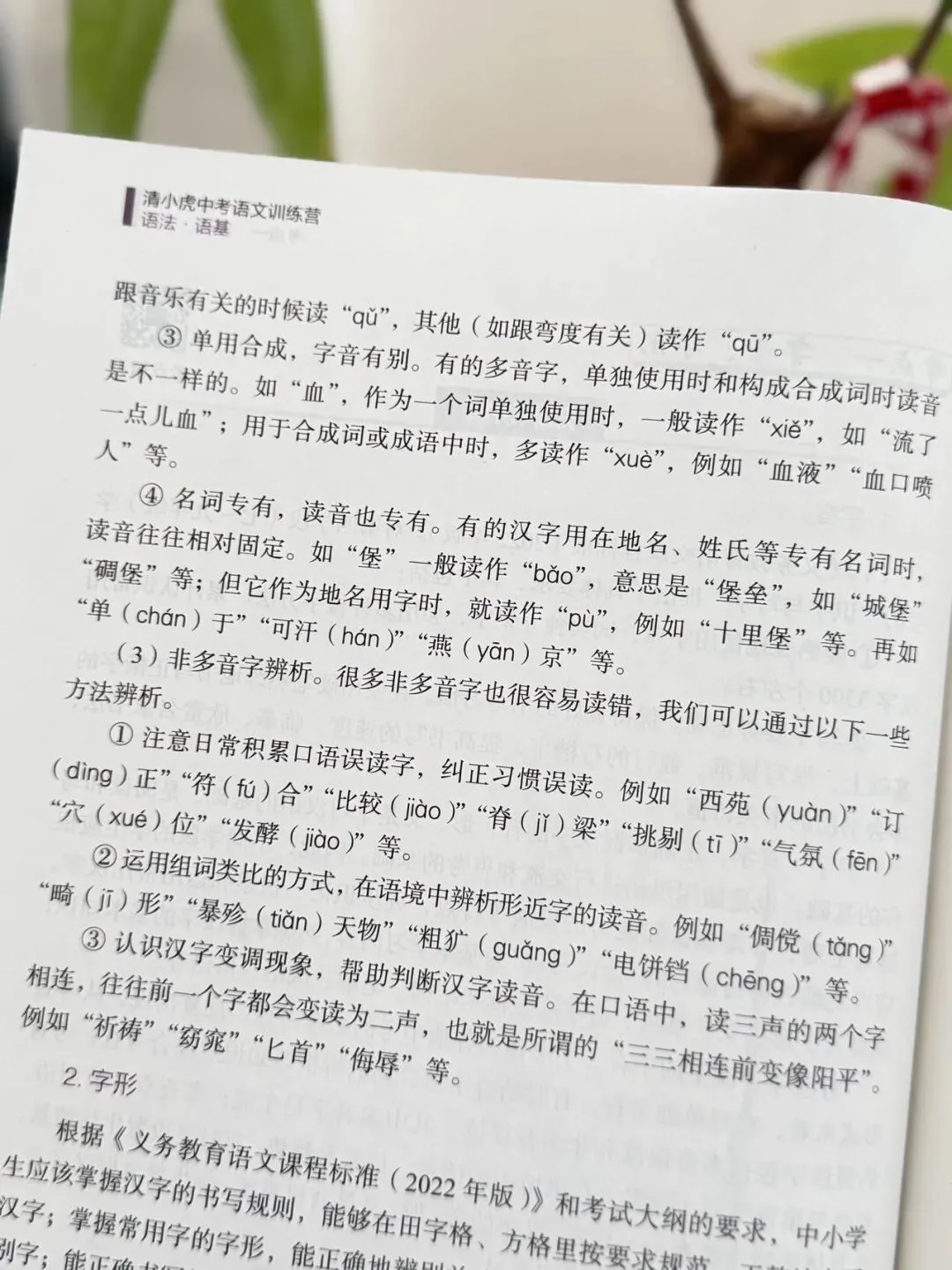 清小虎 中考语文训练营《语法·语基》掌握语法不愁语文学不好-第25张图片-四季读书网 清小虎 中考语文训练营《语法·语基》掌握语法不愁语文学不好-第25张图片-四季读书网