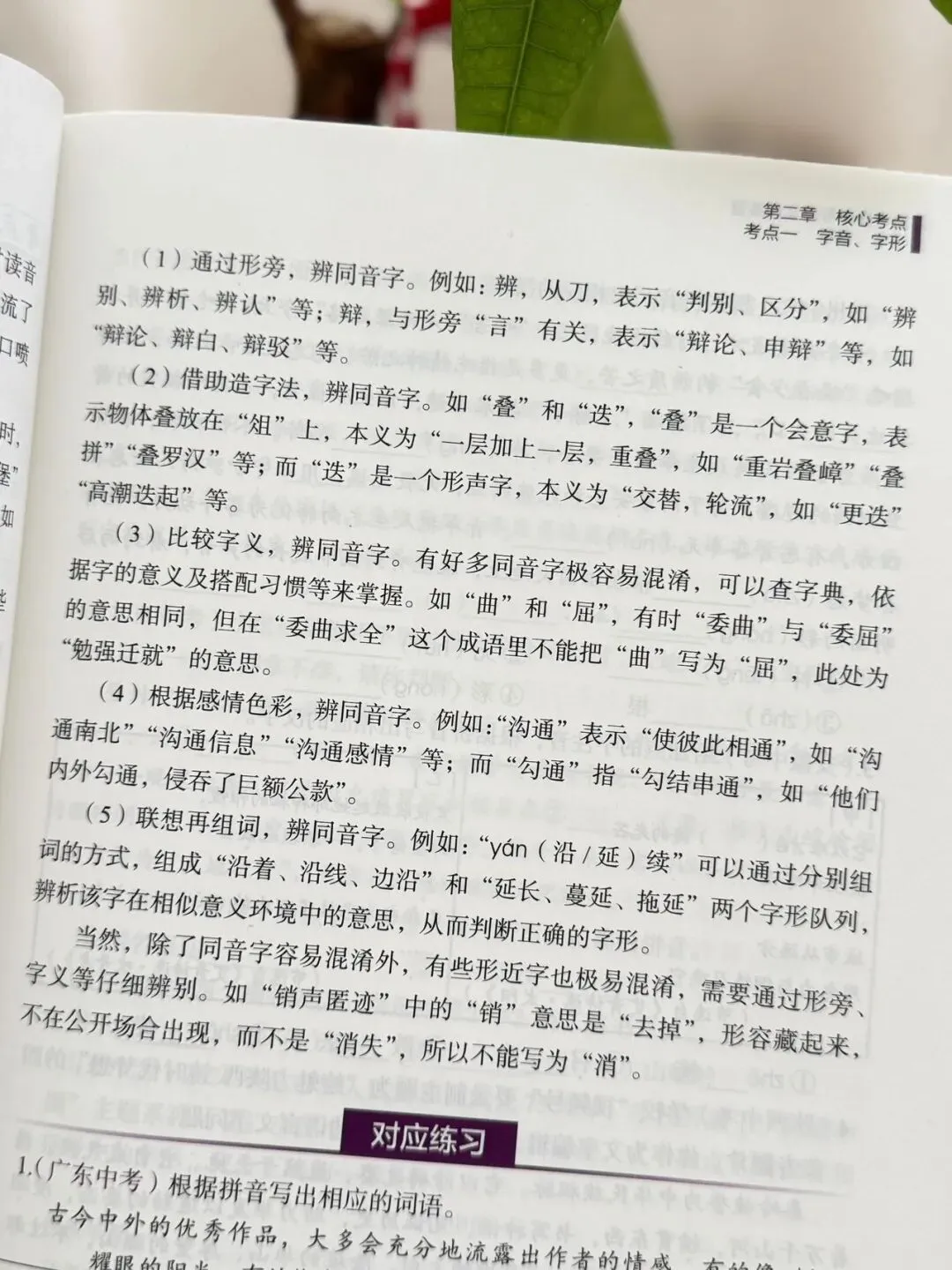 清小虎 中考语文训练营《语法·语基》掌握语法不愁语文学不好-第26张图片-四季读书网 清小虎 中考语文训练营《语法·语基》掌握语法不愁语文学不好-第26张图片-四季读书网