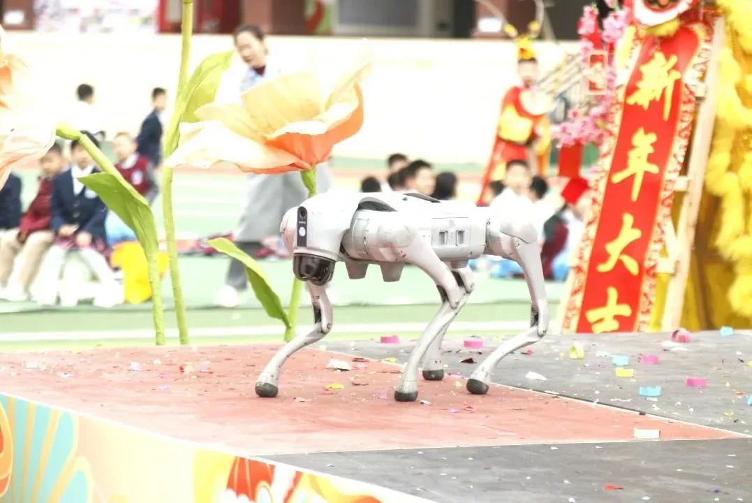 2026中考省市属名校录取203人......白云华赋凭什么?-第8张图片-四季读书网 2026中考省市属名校录取203人......白云华赋凭什么?-第8张图片-四季读书网