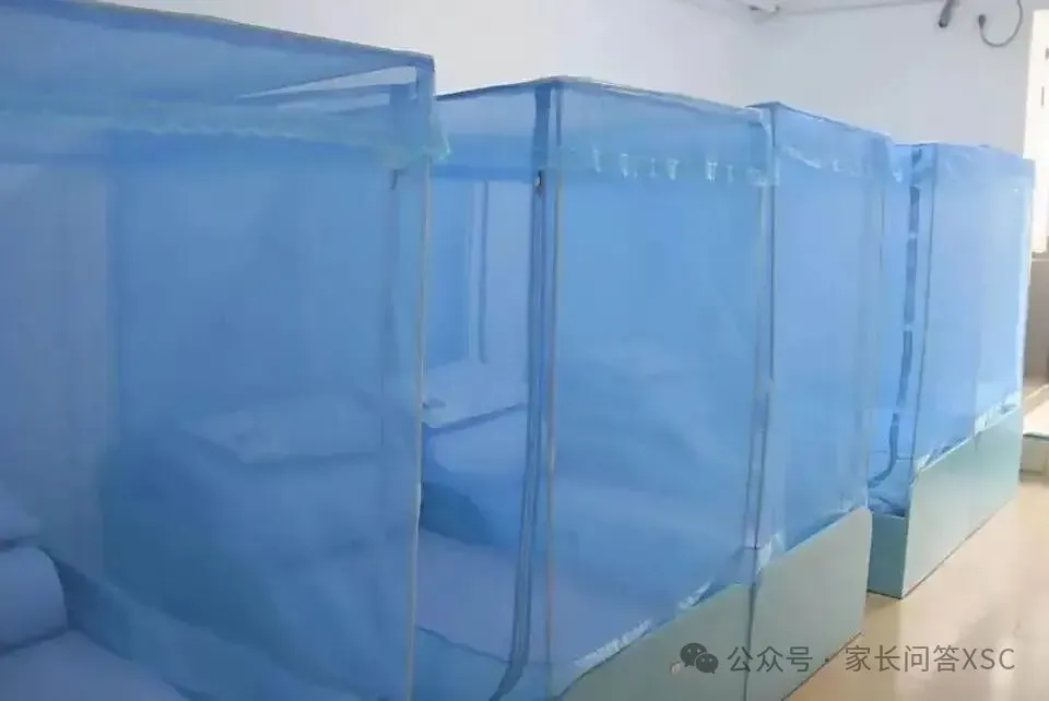 2026中考省市属名校录取203人......白云华赋凭什么?-第10张图片-四季读书网 2026中考省市属名校录取203人......白云华赋凭什么?-第10张图片-四季读书网