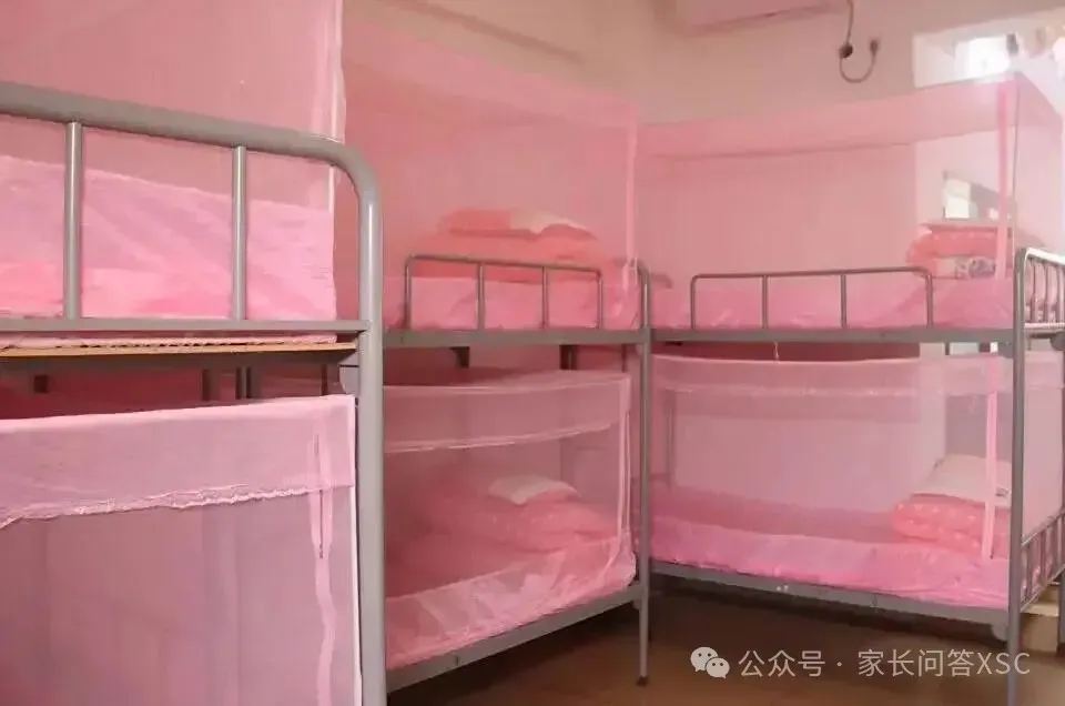 2026中考省市属名校录取203人......白云华赋凭什么?-第12张图片-四季读书网 2026中考省市属名校录取203人......白云华赋凭什么?-第12张图片-四季读书网