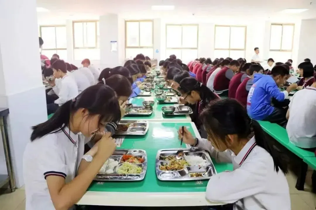 2026中考省市属名校录取203人......白云华赋凭什么?-第14张图片-四季读书网 2026中考省市属名校录取203人......白云华赋凭什么?-第14张图片-四季读书网