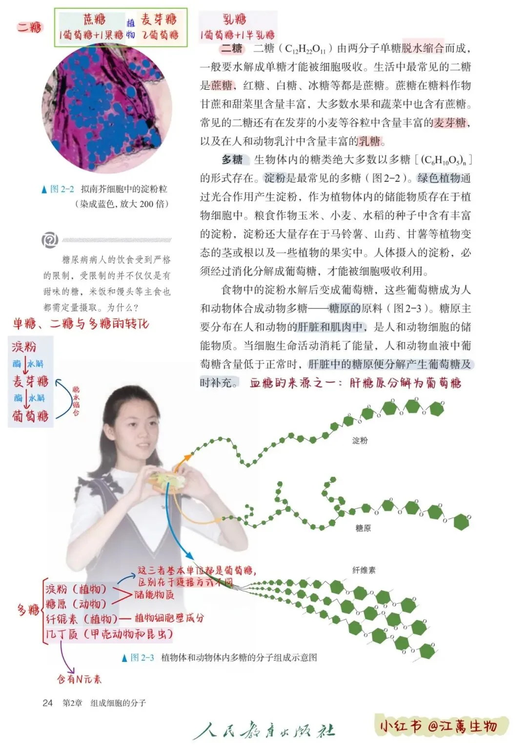 新教材高考生物一轮复习讲稿(第01‑06讲)-第1张图片-四季读书网 新教材高考生物一轮复习讲稿(第01‑06讲)-第1张图片-四季读书网