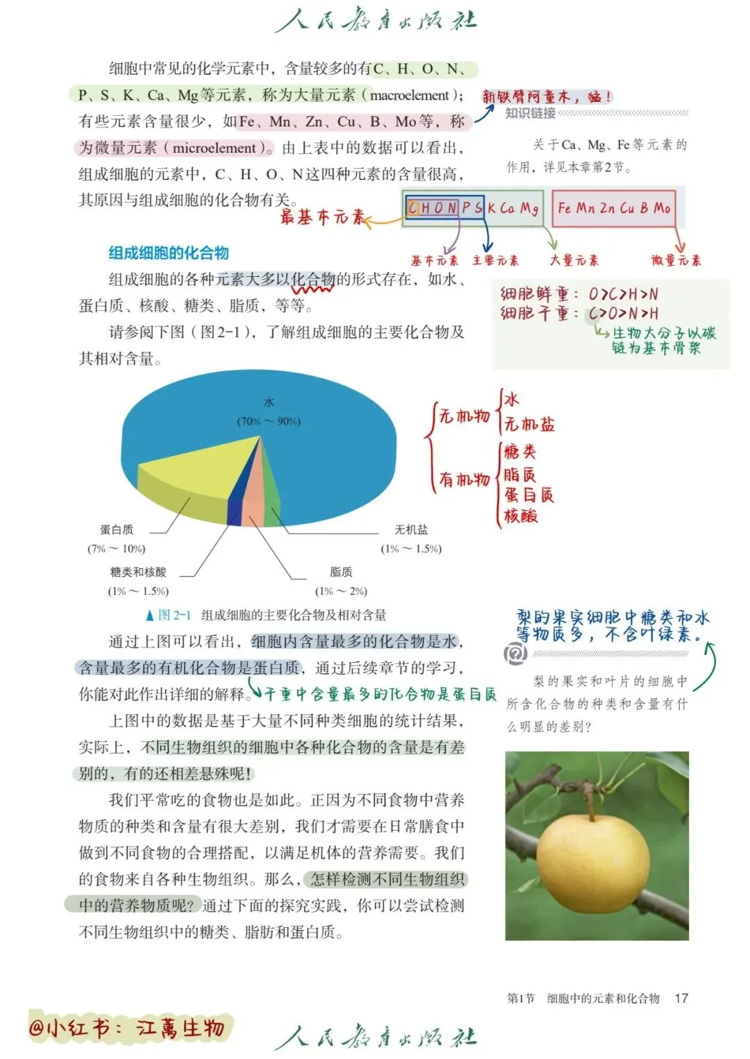 新教材高考生物一轮复习讲稿(第01‑06讲)-第3张图片-四季读书网 新教材高考生物一轮复习讲稿(第01‑06讲)-第3张图片-四季读书网