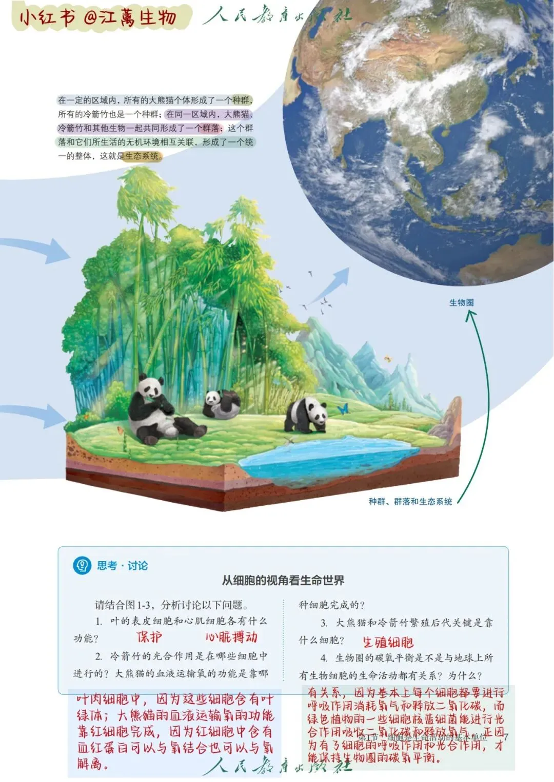 新教材高考生物一轮复习讲稿(第01‑06讲)-第4张图片-四季读书网 新教材高考生物一轮复习讲稿(第01‑06讲)-第4张图片-四季读书网