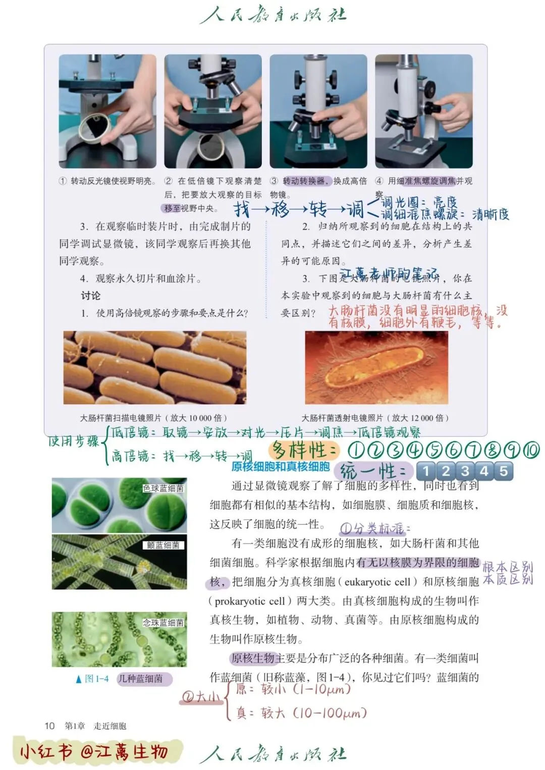 新教材高考生物一轮复习讲稿(第01‑06讲)-第2张图片-四季读书网 新教材高考生物一轮复习讲稿(第01‑06讲)-第2张图片-四季读书网
