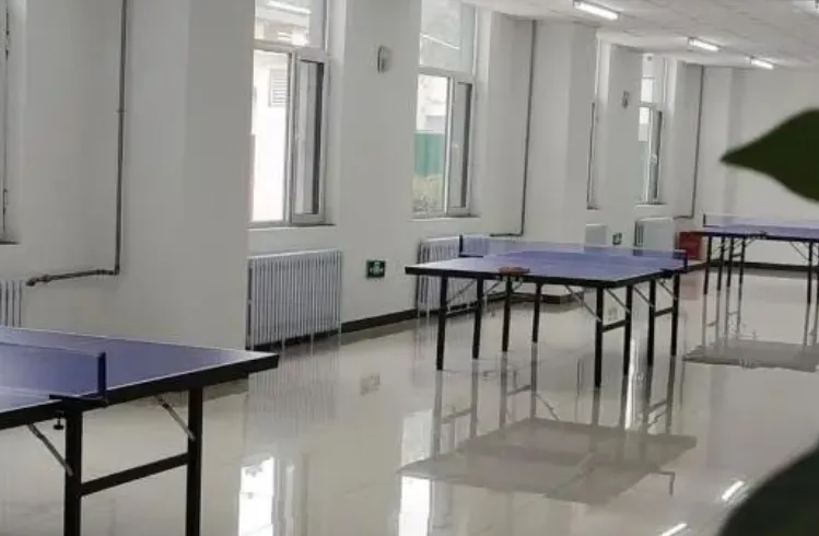 飞鸿高考 | 石家庄2027届艺术生文化课招生简章-第3张图片-四季读书网