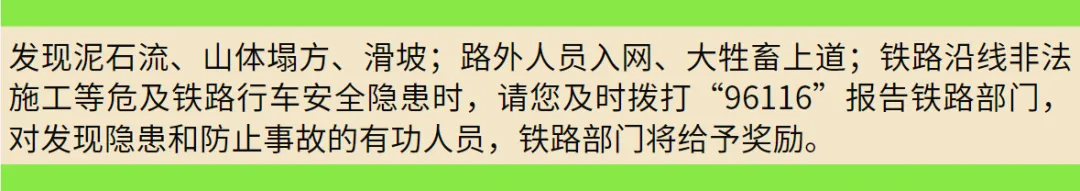 大年初三,交通安全要牢记-第7张图片-四季读书网