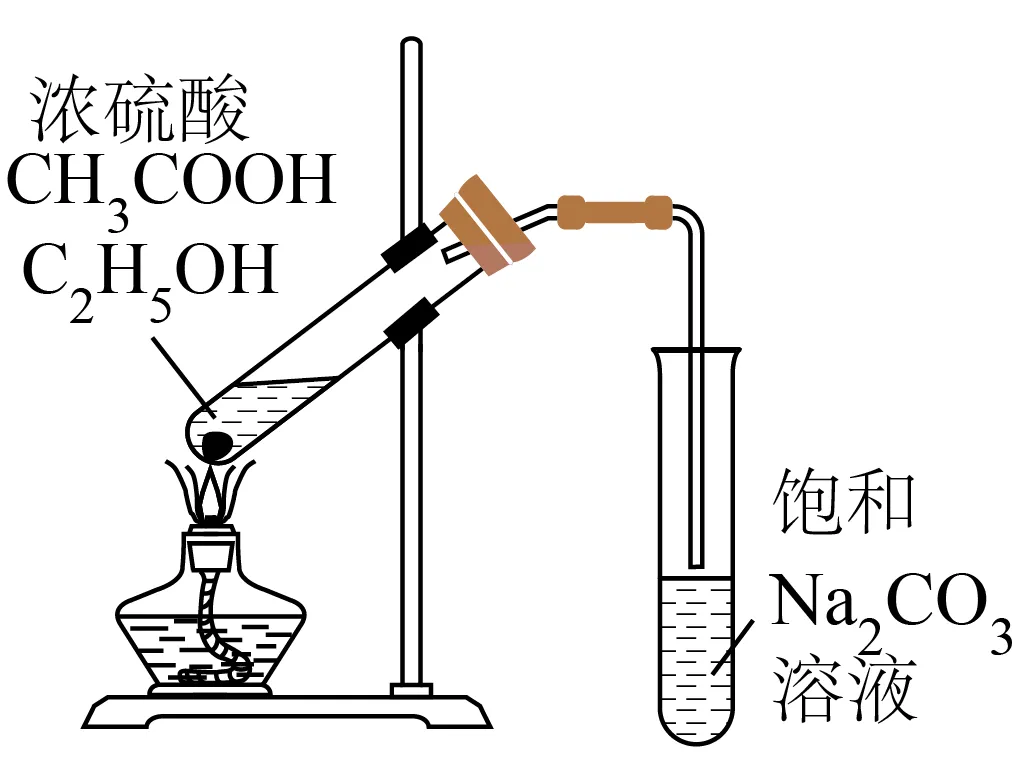 高考化学微型小专题《有机化学基础(选择题)》-第10张图片-四季读书网