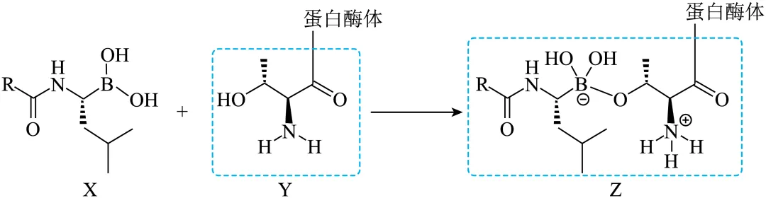高考化学微型小专题《有机化学基础(选择题)》-第30张图片-四季读书网