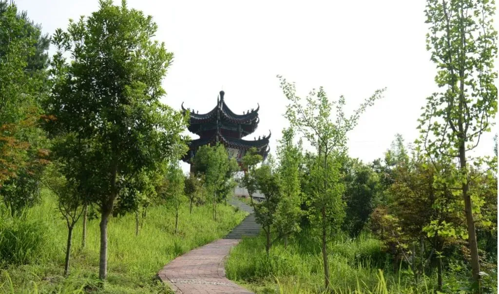 名师示范引航向 精准赋能备高考——州教科所专家莅临我校开展高三一轮复习示范课活动-第8张图片-四季读书网