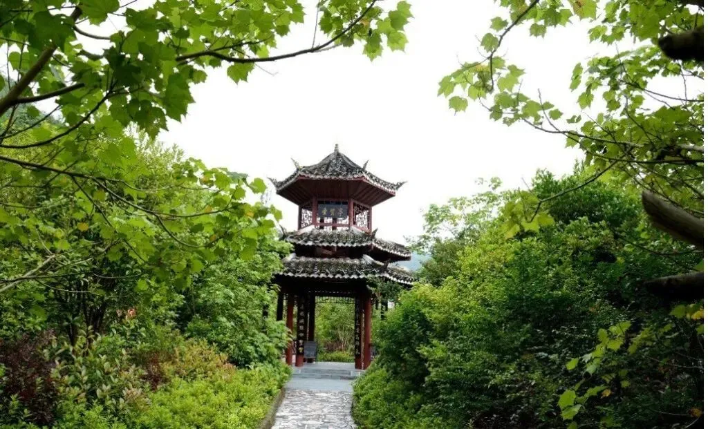 名师示范引航向 精准赋能备高考——州教科所专家莅临我校开展高三一轮复习示范课活动-第10张图片-四季读书网