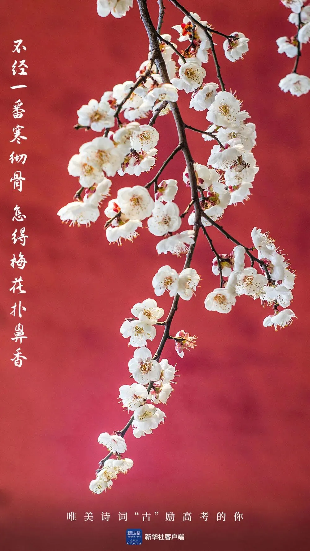 高考必胜!-第2张图片-四季读书网