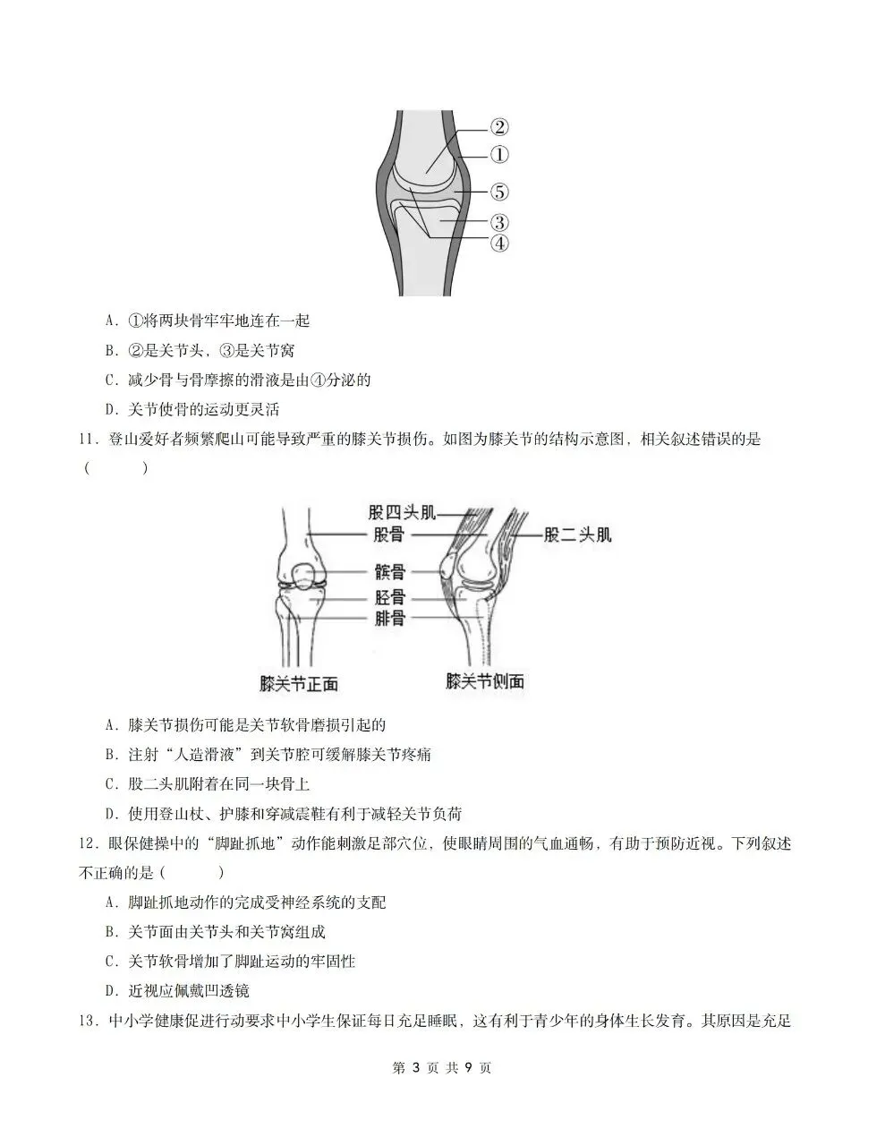 2026年人教版八年级上册【生物】月考试卷(多套可打印)-第5张图片-四季读书网 2026年人教版八年级上册【生物】月考试卷(多套可打印)-第5张图片-四季读书网