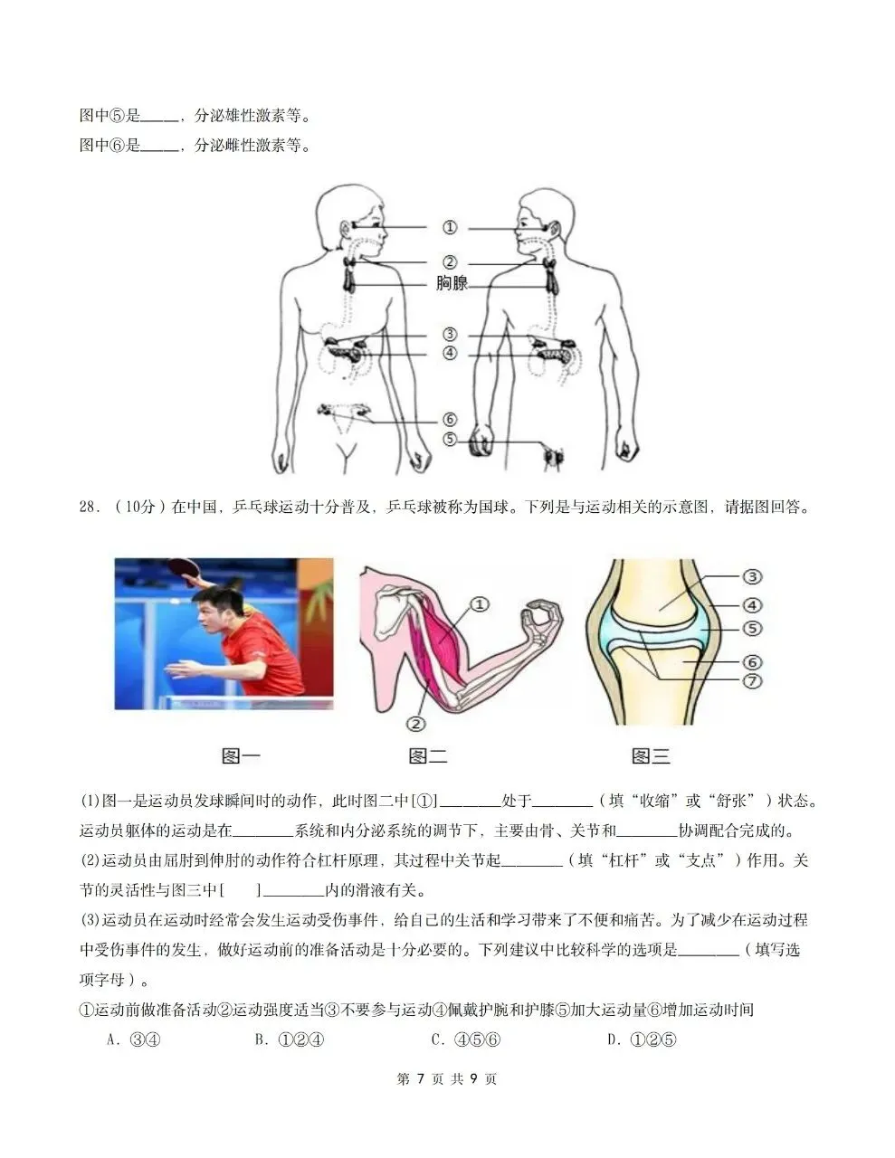 2026年人教版八年级上册【生物】月考试卷(多套可打印)-第9张图片-四季读书网 2026年人教版八年级上册【生物】月考试卷(多套可打印)-第9张图片-四季读书网