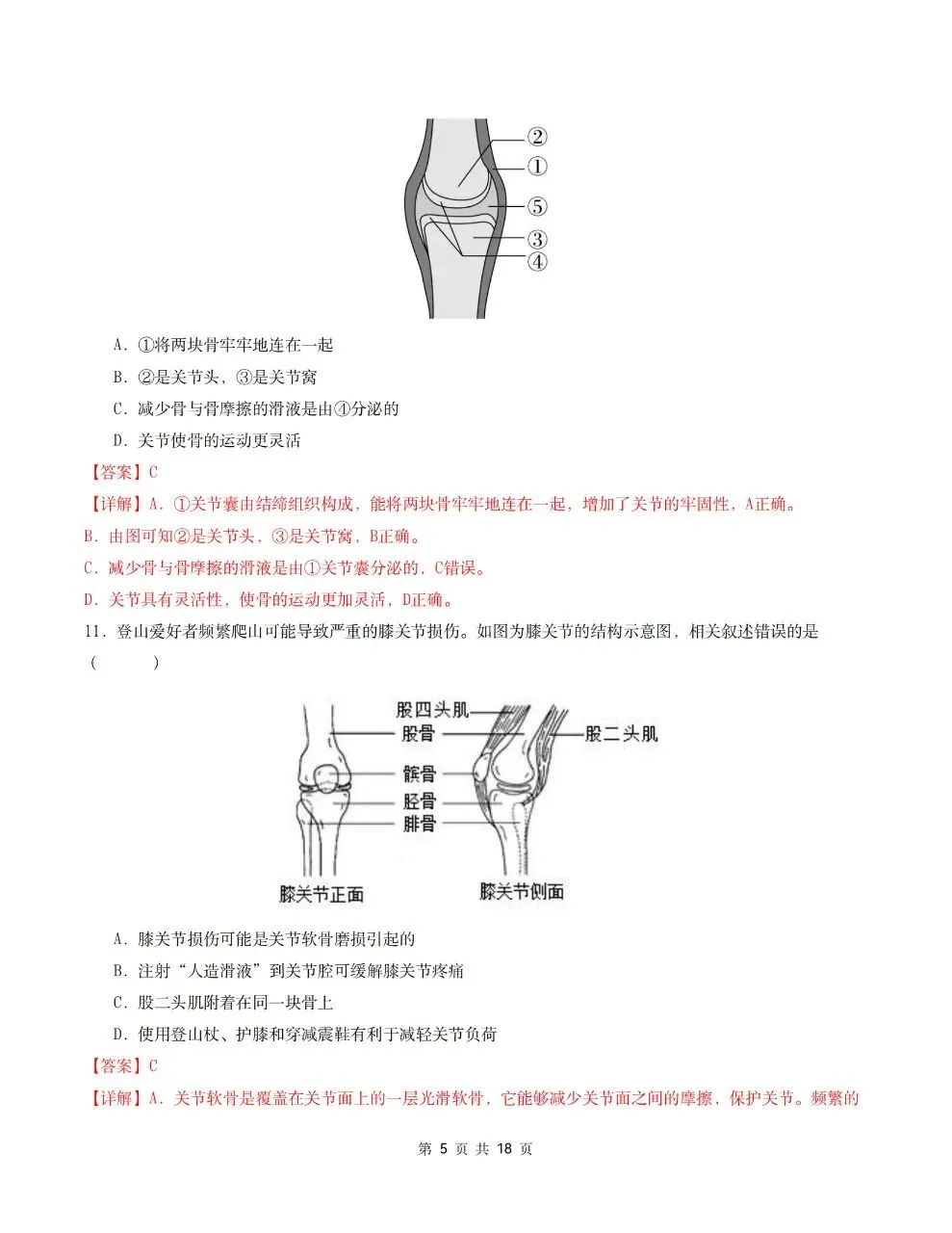 2026年人教版八年级上册【生物】月考试卷(多套可打印)-第16张图片-四季读书网 2026年人教版八年级上册【生物】月考试卷(多套可打印)-第16张图片-四季读书网