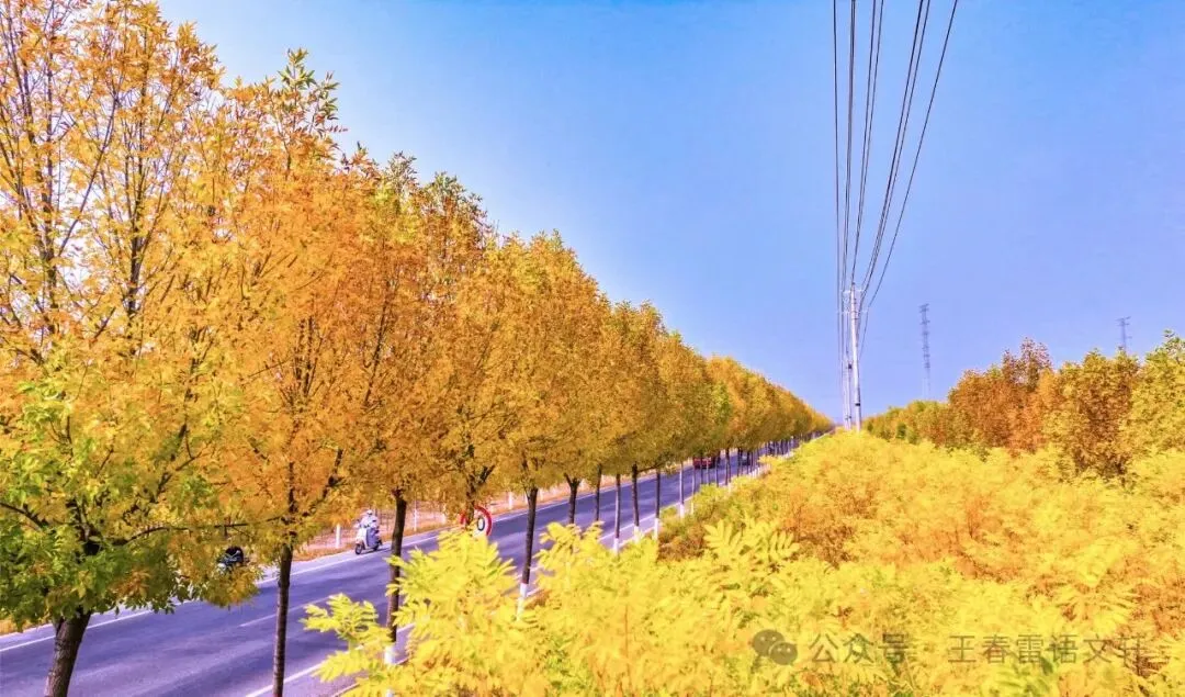 【第2065期C】中考优秀作文:《留住最美风景》范文16篇+写作指导-第1张图片-四季读书网 【第2065期C】中考优秀作文:《留住最美风景》范文16篇+写作指导-第1张图片-四季读书网