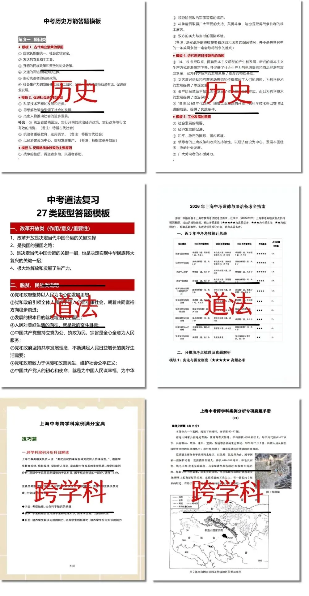 上海中考历史·道法·跨学科:22本书,初三到底怎么排?-第1张图片-四季读书网