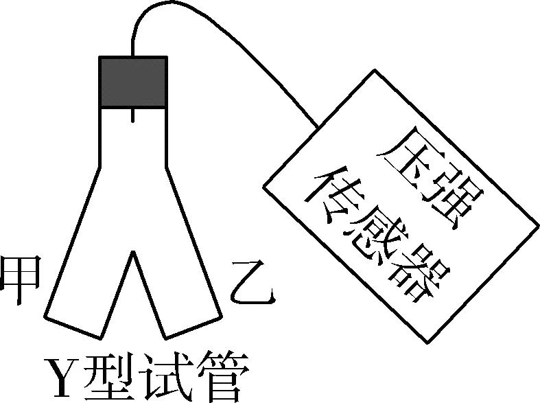 2027 届高三生物总复习基础试卷 20+2 系列04-第1张图片-四季读书网 2027 届高三生物总复习基础试卷 20+2 系列04-第1张图片-四季读书网