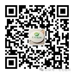 别只盯着试卷!看世赛少年的另一条赛道-第5张图片-四季读书网 别只盯着试卷!看世赛少年的另一条赛道-第5张图片-四季读书网