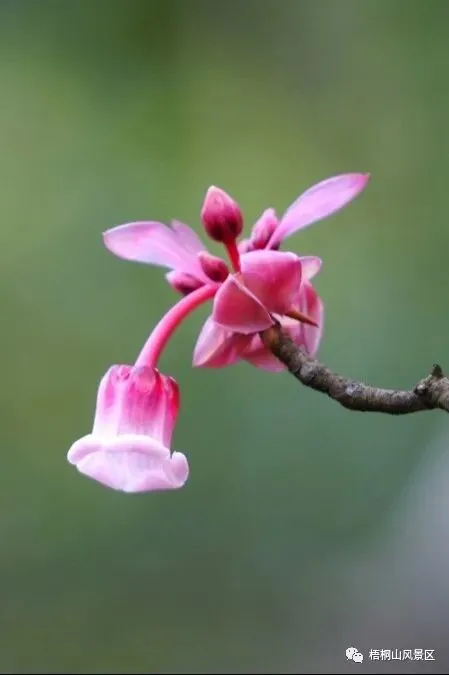 今日,大年初二!-第7张图片-四季读书网 今日,大年初二!-第7张图片-四季读书网