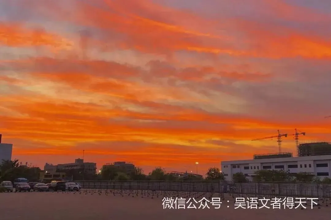 学长学姐说 | 语文高考状元是怎样炼成的-第8张图片-四季读书网