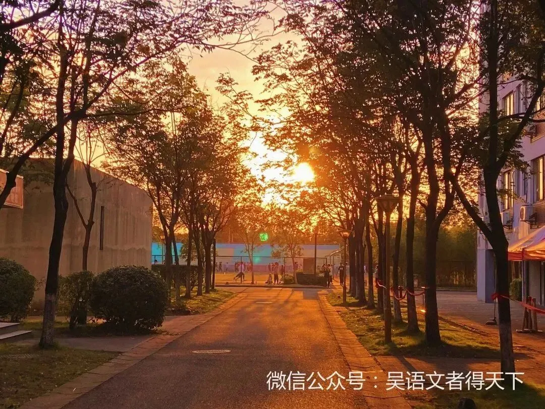 学长学姐说 | 语文高考状元是怎样炼成的-第10张图片-四季读书网