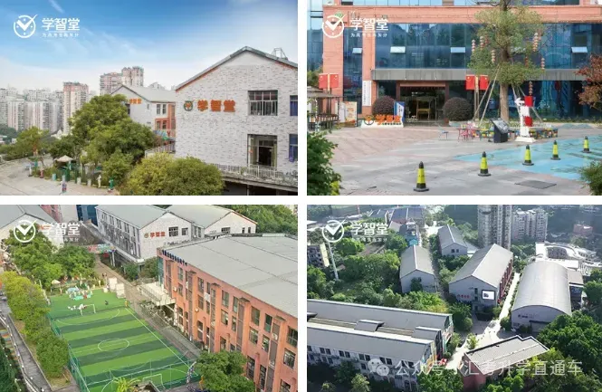 重庆学智堂|初三全日制辅导,全托集训冲刺理想高中-第11张图片-四季读书网 重庆学智堂|初三全日制辅导,全托集训冲刺理想高中-第11张图片-四季读书网