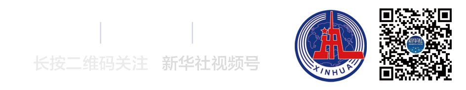 十三岁,初三,三块金牌,还破了亚洲纪录,她凭什么?-第4张图片-四季读书网