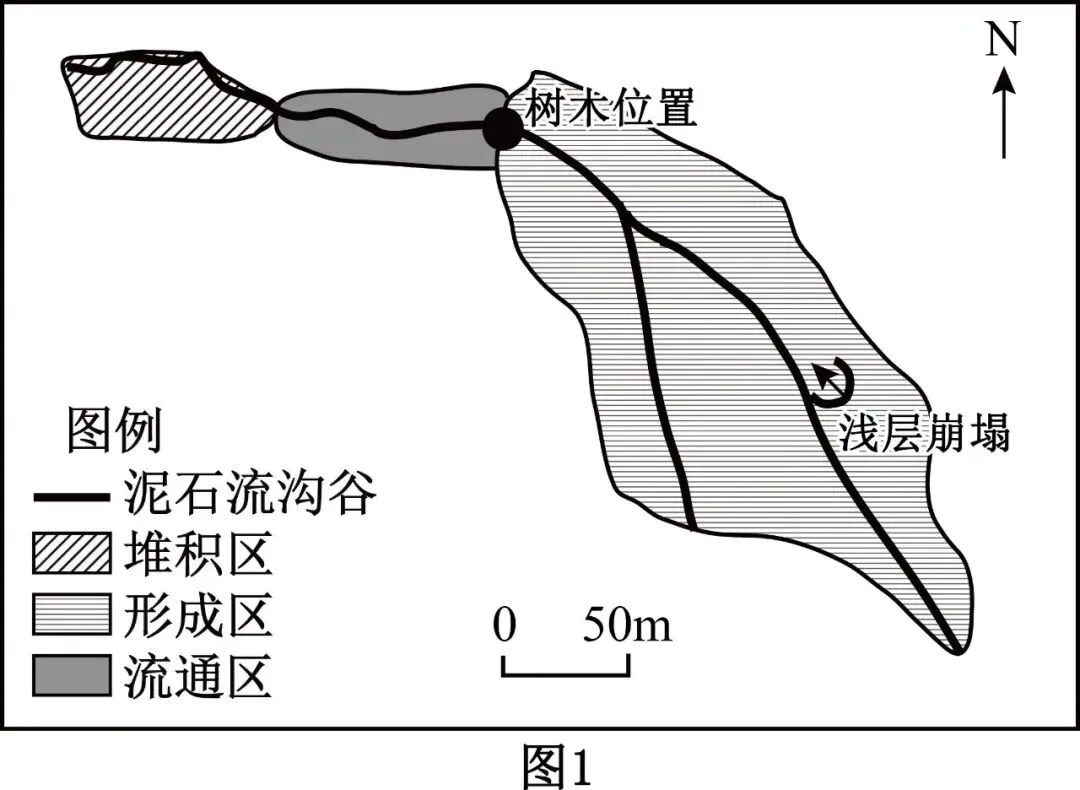 高考地理综合题限时练(87)滑坡泥石流-第2张图片-四季读书网 高考地理综合题限时练(87)滑坡泥石流-第2张图片-四季读书网