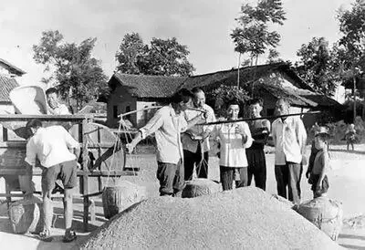 1978年,我上初二,生产队给我评工分标准16分,同龄人最高-第1张图片-四季读书网