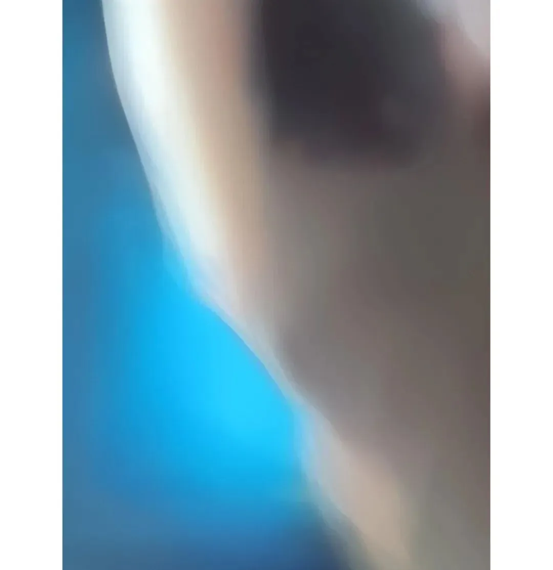 初一新生Lara的手机摄影-第3张图片-四季读书网