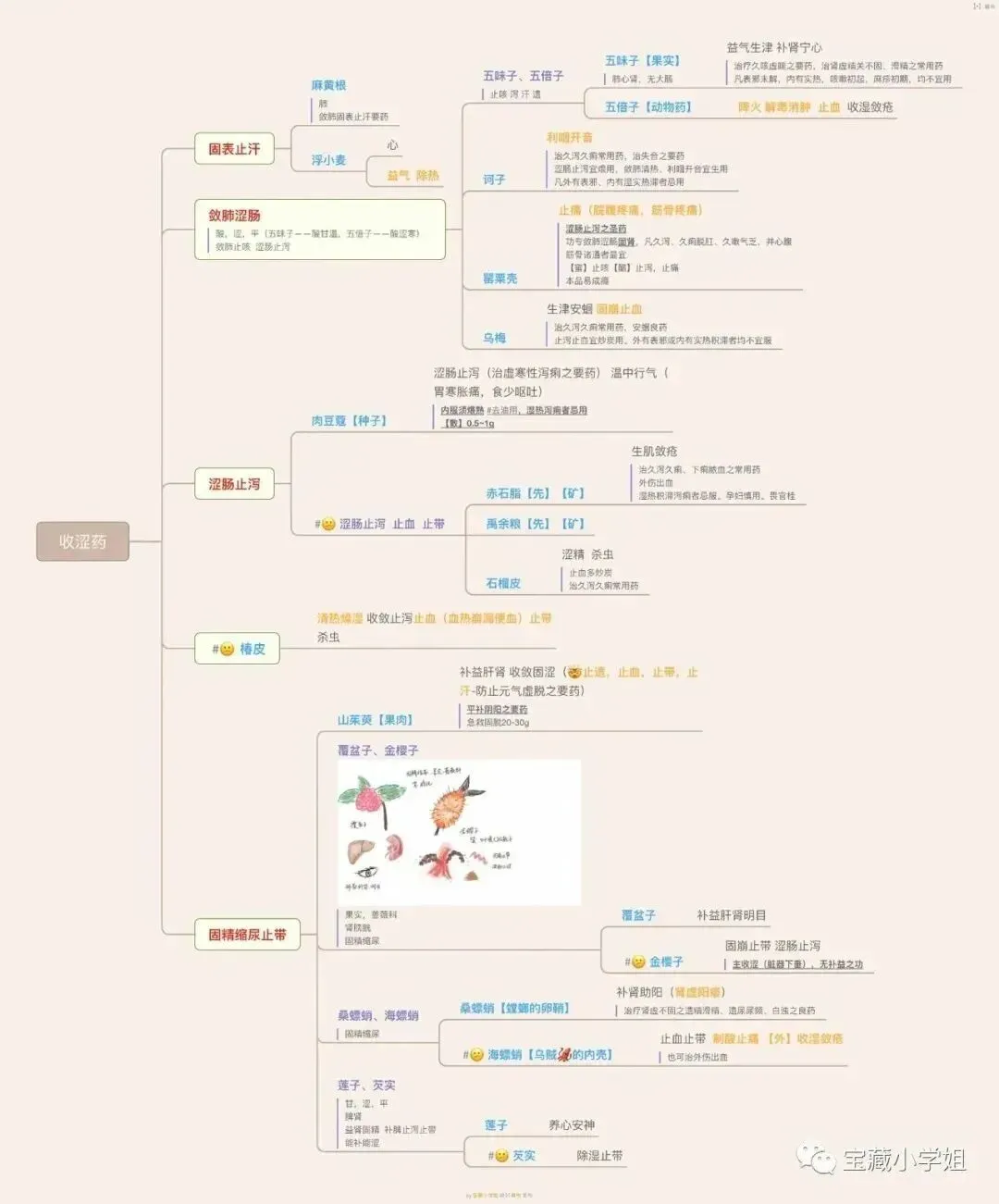 27考研 | 跟着宝藏刷真题——中药篇4-第28张图片-四季读书网 27考研 | 跟着宝藏刷真题——中药篇4-第28张图片-四季读书网