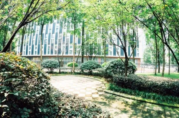 成都高三培训选哪家?成都赢星高考培训小班分层教学-第3张图片-四季读书网 成都高三培训选哪家?成都赢星高考培训小班分层教学-第3张图片-四季读书网