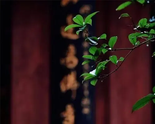 初一、十五为何这么重要?-第4张图片-四季读书网 初一、十五为何这么重要?-第4张图片-四季读书网