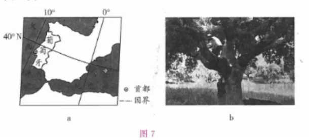 成人高考高升本历史地理考点及练习-第33张图片-四季读书网