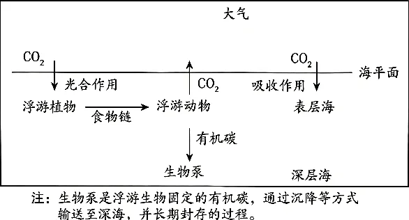 2027届高考地理一轮复习精讲精练第13讲海水的运动、海—气相互作用-第36张图片-四季读书网