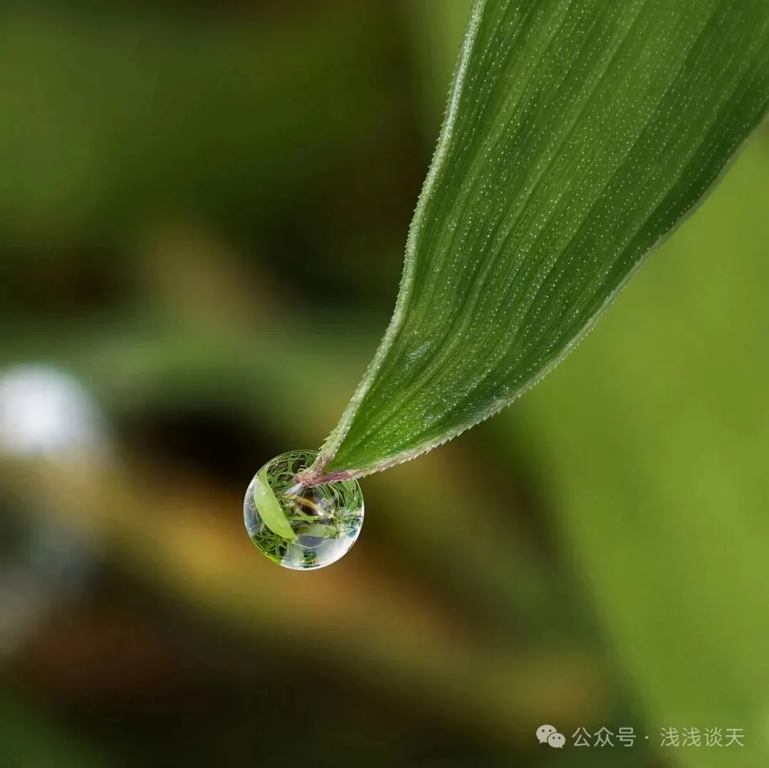 【备考规划】高考使用全国 Ⅰ 卷与全国 Ⅱ 卷的考生,备考策略、复习规划有什么不同?-第4张图片-四季读书网