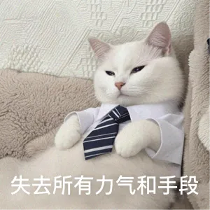 初二,为什么成了厌学高发期?-第1张图片-四季读书网 初二,为什么成了厌学高发期?-第1张图片-四季读书网