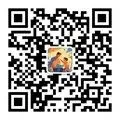别等初三才抓体育,现在每天15分钟就够-第3张图片-四季读书网