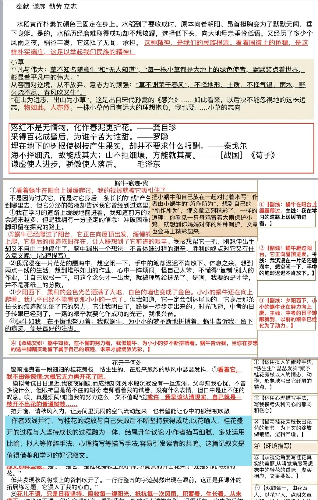 中考语文作文——“一线串珠”写作结构-第16张图片-四季读书网 中考语文作文——“一线串珠”写作结构-第16张图片-四季读书网
