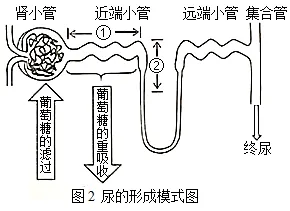 北京试卷学习材料周周练(36)-第5张图片-四季读书网 北京试卷学习材料周周练(36)-第5张图片-四季读书网
