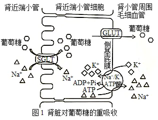 北京试卷学习材料周周练(36)-第8张图片-四季读书网 北京试卷学习材料周周练(36)-第8张图片-四季读书网