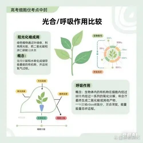 研透真题 · 题出方略—2026年山东高考生物真题第21题评析-第1张图片-四季读书网 研透真题 · 题出方略—2026年山东高考生物真题第21题评析-第1张图片-四季读书网