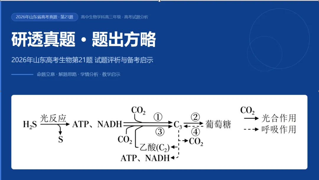 研透真题 · 题出方略—2026年山东高考生物真题第21题评析-第3张图片-四季读书网 研透真题 · 题出方略—2026年山东高考生物真题第21题评析-第3张图片-四季读书网